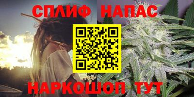 сатива Будённовск