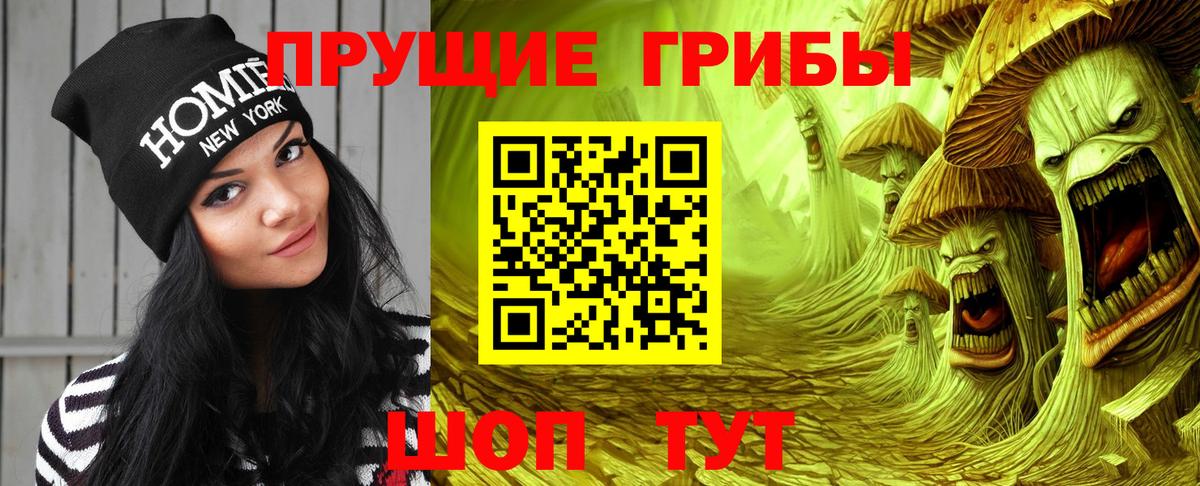 Лосино-Петровский  Псилоцибиновые грибы прущие грибы  Вход с VPN 
