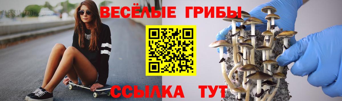 Галлюциногенные грибы GOLDEN TEACHER Лосино-Петровский